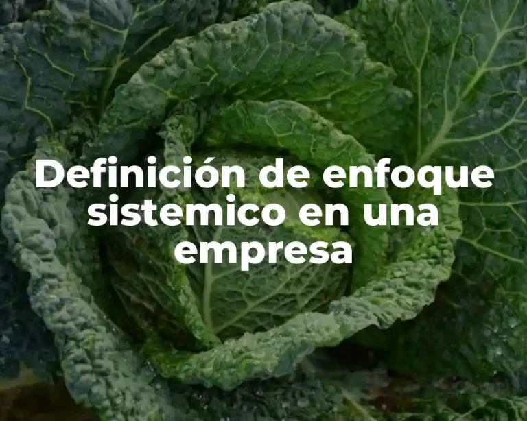 Definición de enfoque sistemico en una empresa