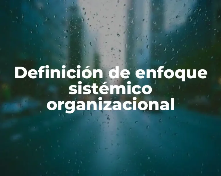 Definición de enfoque sistémico organizacional