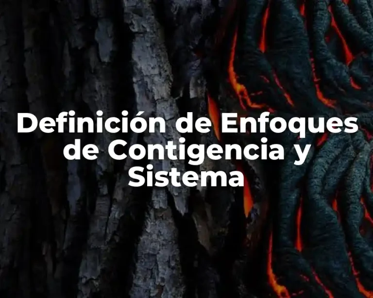 Definición de Enfoques de Contigencia y Sistema