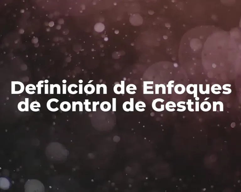 Definición de Enfoques de Control de Gestión