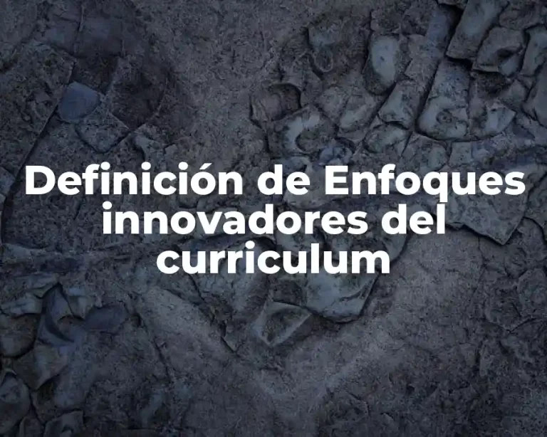 Definición de Enfoques innovadores del curriculum