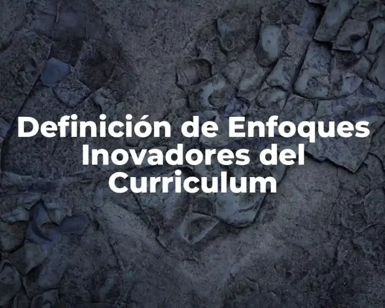 Definición de Enfoques Inovadores del Curriculum