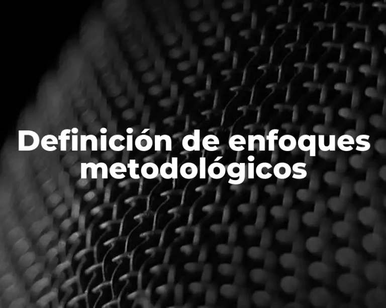Definición de enfoques metodológicos