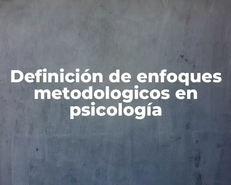 Definición de enfoques metodologicos en psicología