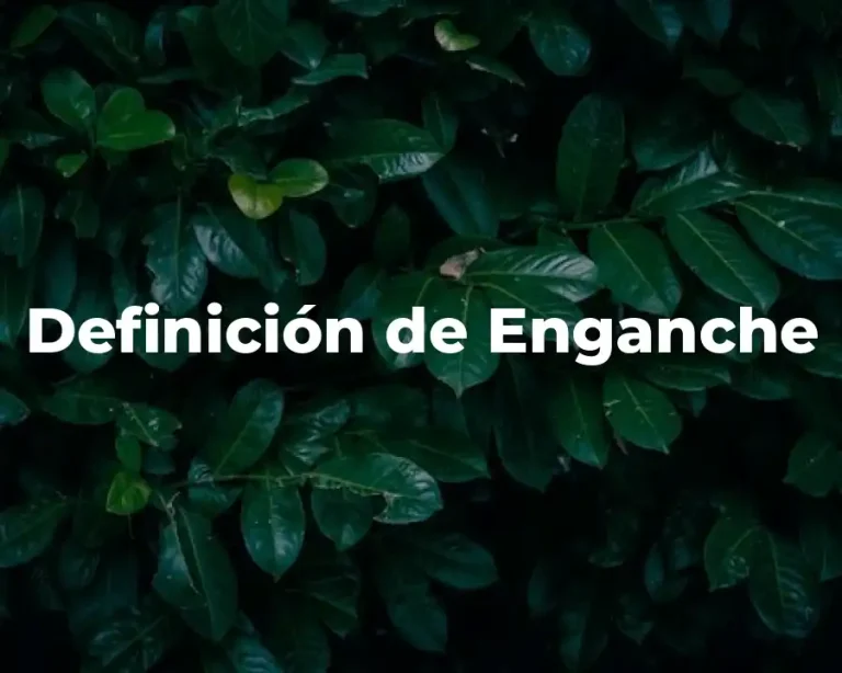 Definición de Enganche