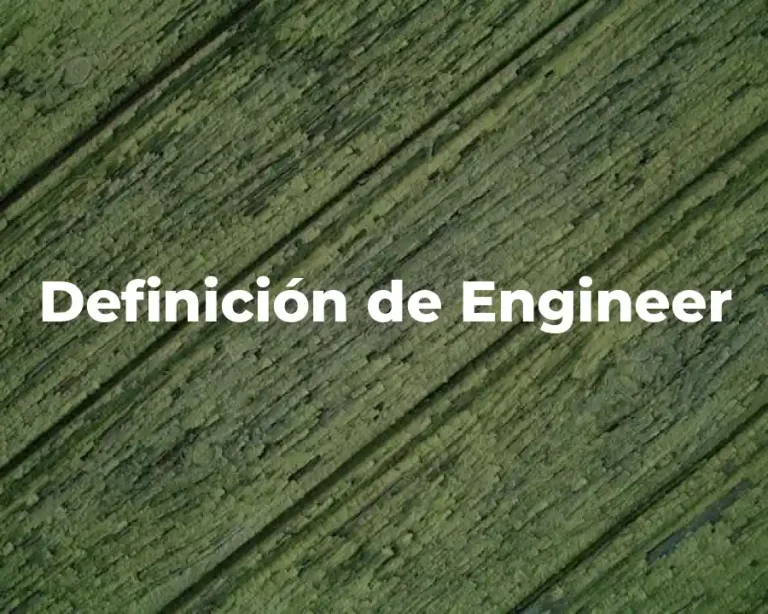 Definición de Engineer