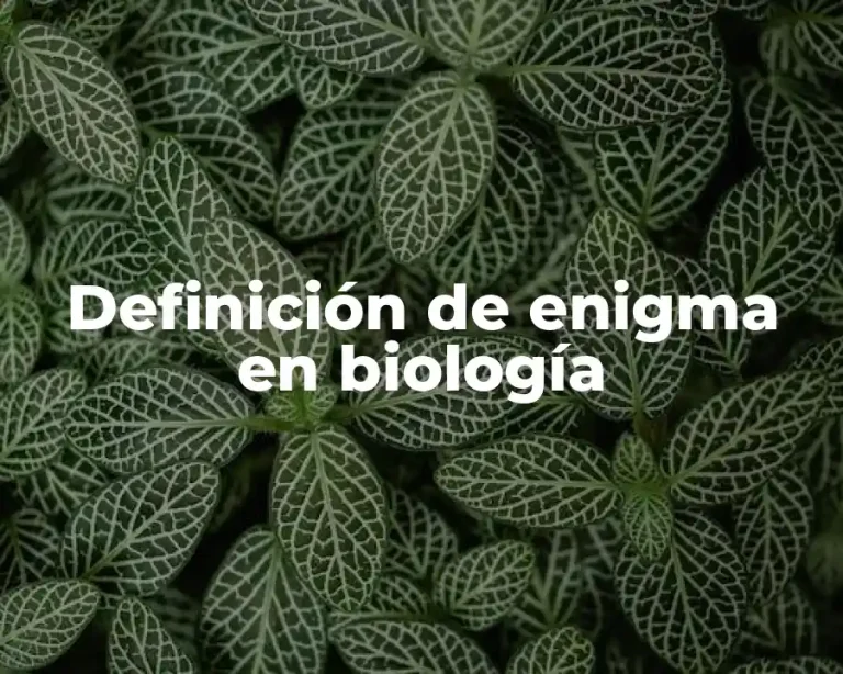 Definición de enigma en biología