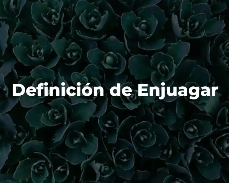 Definición de Enjuagar