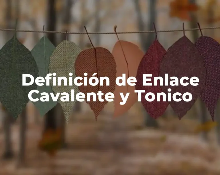 Definición de Enlace Cavalente y Tonico