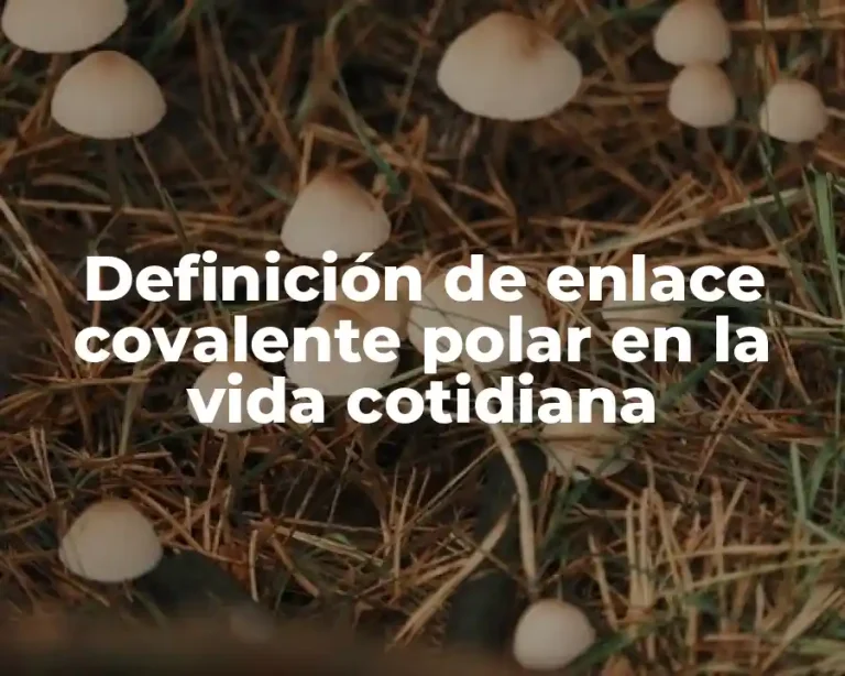 Definición de enlace covalente polar en la vida cotidiana