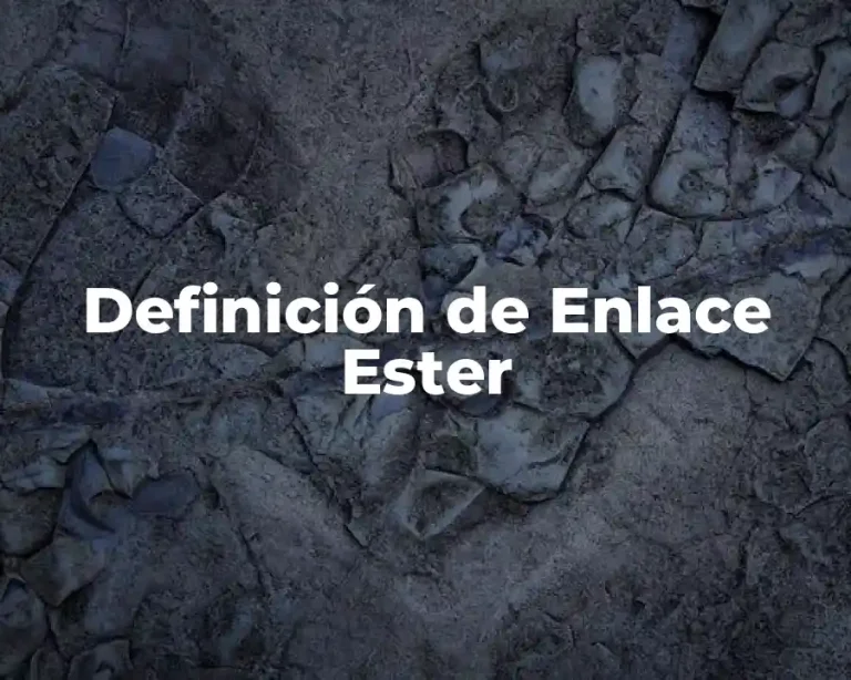 Definición de Enlace Ester