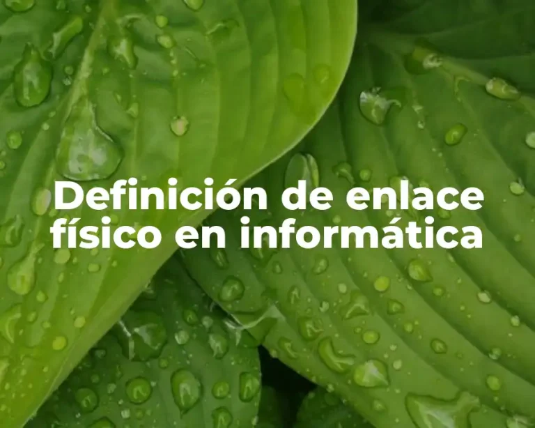 Definición de enlace físico en informática