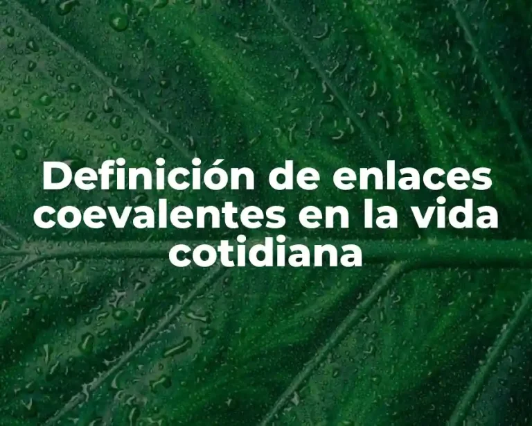 Definición de enlaces coevalentes en la vida cotidiana