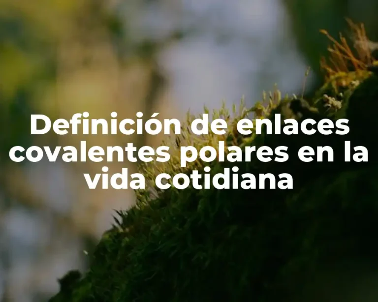 Definición de enlaces covalentes polares en la vida cotidiana