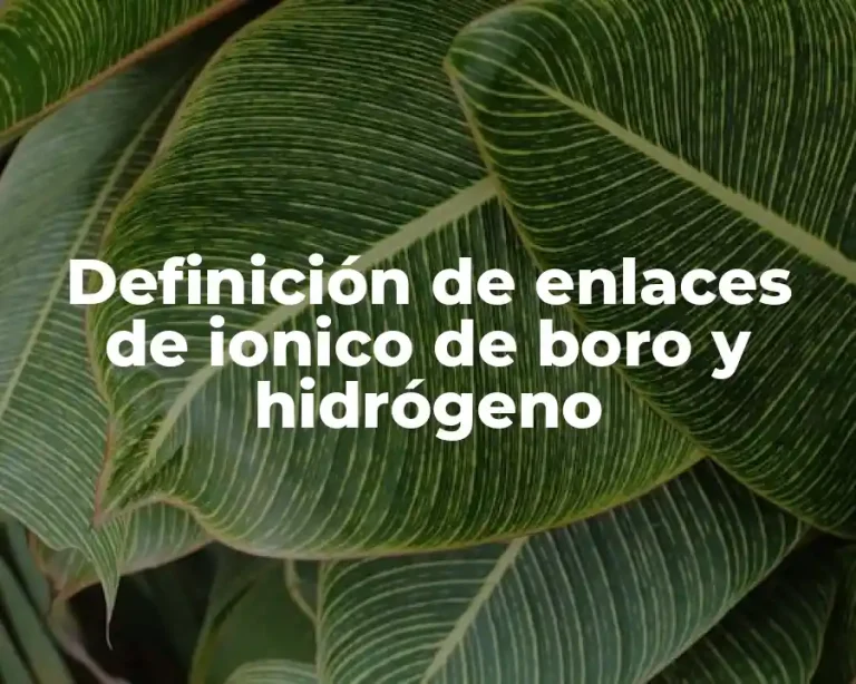 Definición de enlaces de ionico de boro y hidrógeno