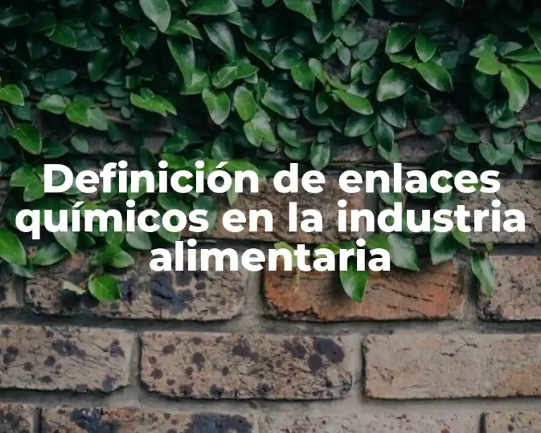Definición de enlaces químicos en la industria alimentaria