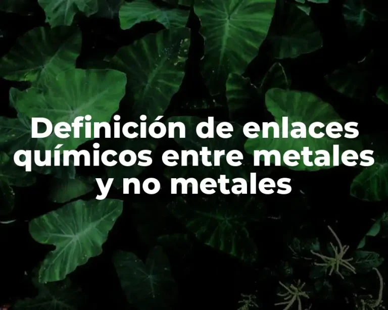 Definición de enlaces químicos entre metales y no metales