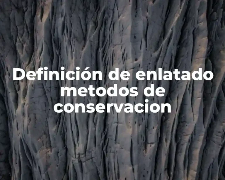 Definición de enlatado metodos de conservacion