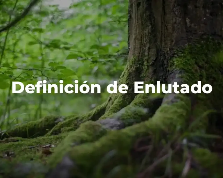 Definición de Enlutado