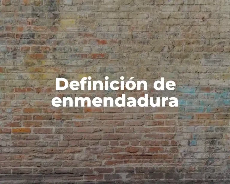 Definición de enmendadura