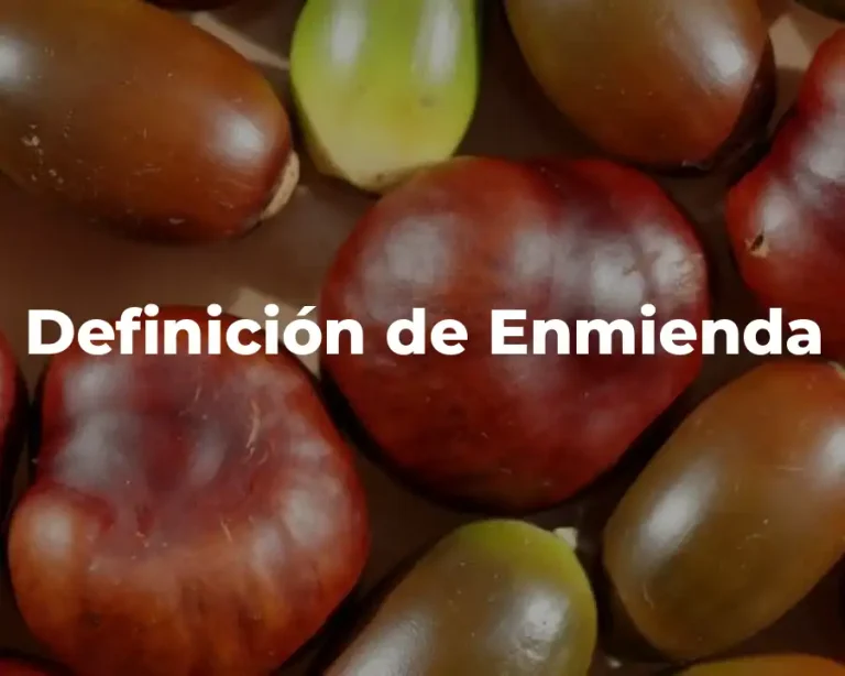 Definición de Enmienda