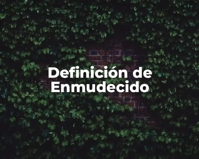 Definición de Enmudecido