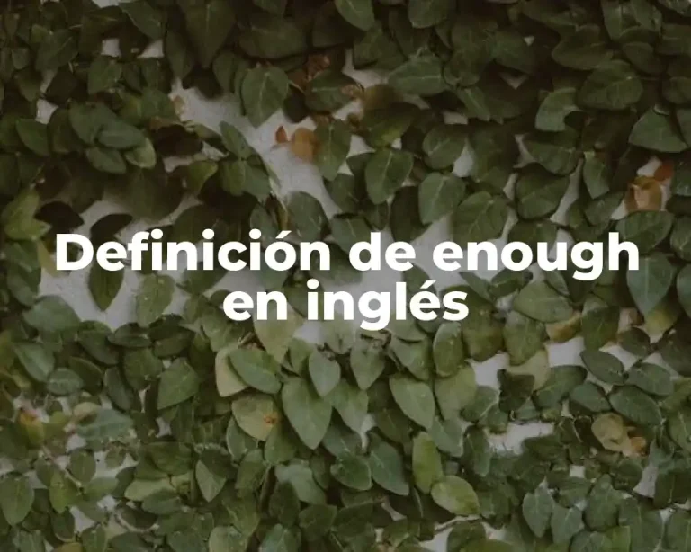 Definición de enough en inglés