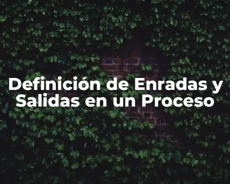 Definición de Enradas y Salidas en un Proceso