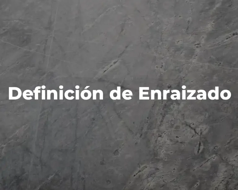 Definición de Enraizado