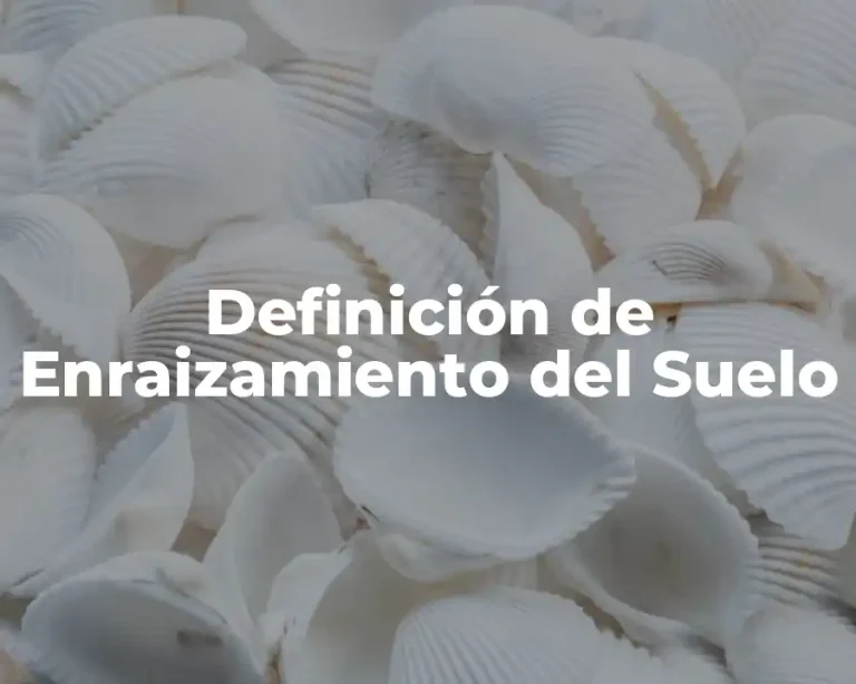 Definición de Enraizamiento del Suelo