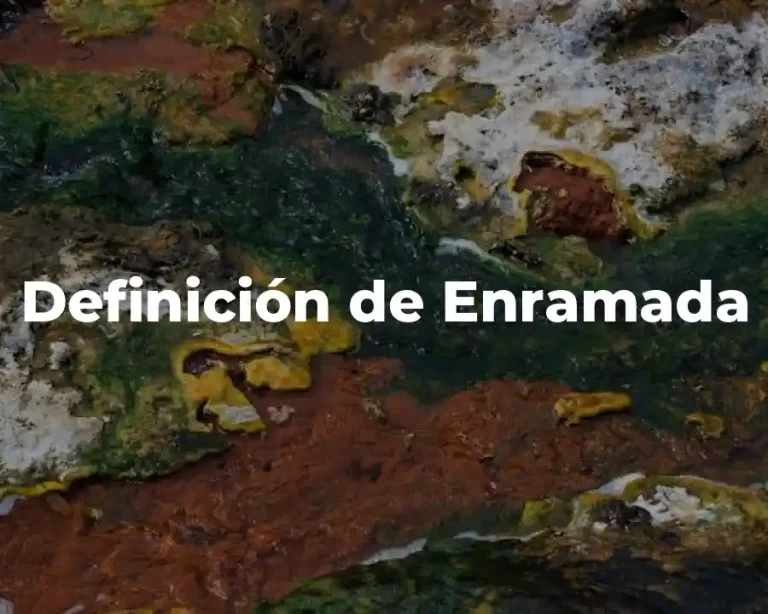 Definición de Enramada