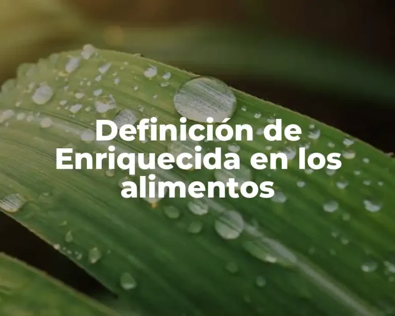 Definición de Enriquecida en los alimentos