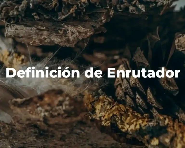 Definición de Enrutador