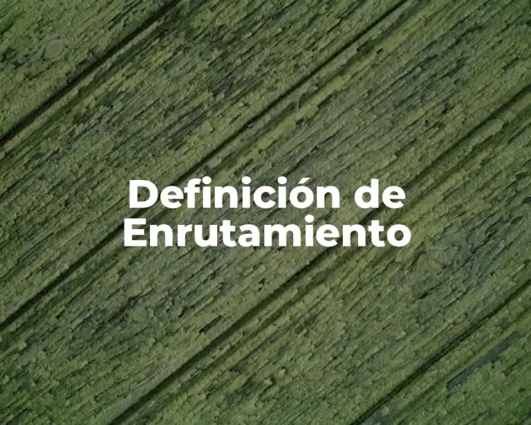 Definición de Enrutamiento