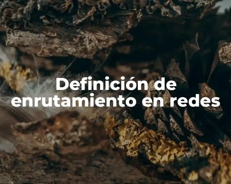 Definición de enrutamiento en redes
