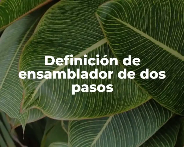 Definición de ensamblador de dos pasos