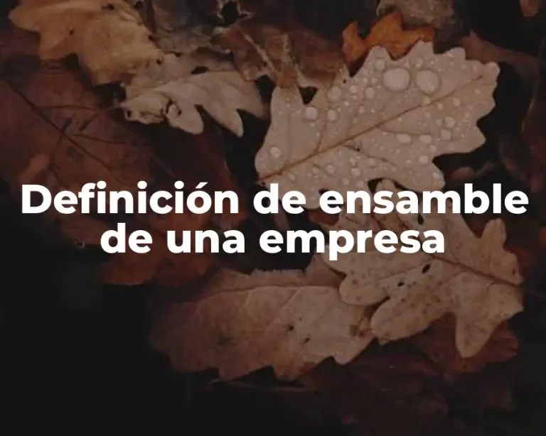 Definición de ensamble de una empresa