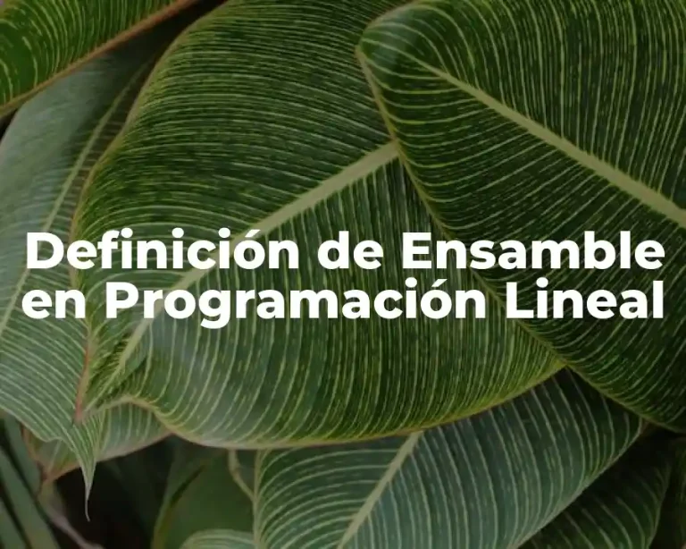 Definición de Ensamble en Programación Lineal