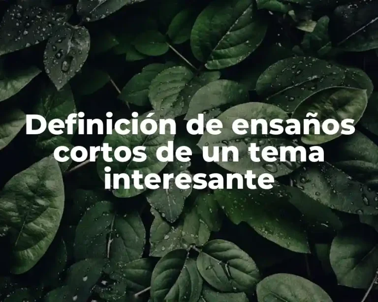 Definición de ensaños cortos de un tema interesante