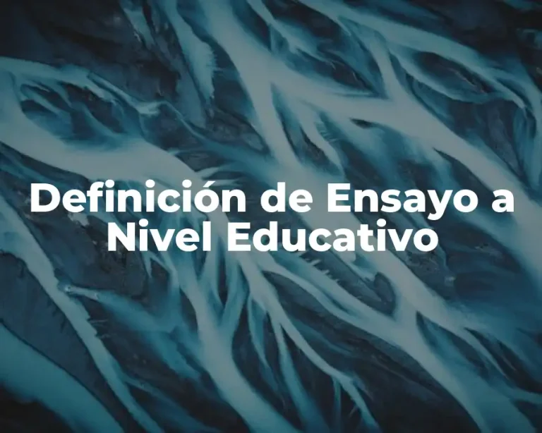 Definición de Ensayo a Nivel Educativo