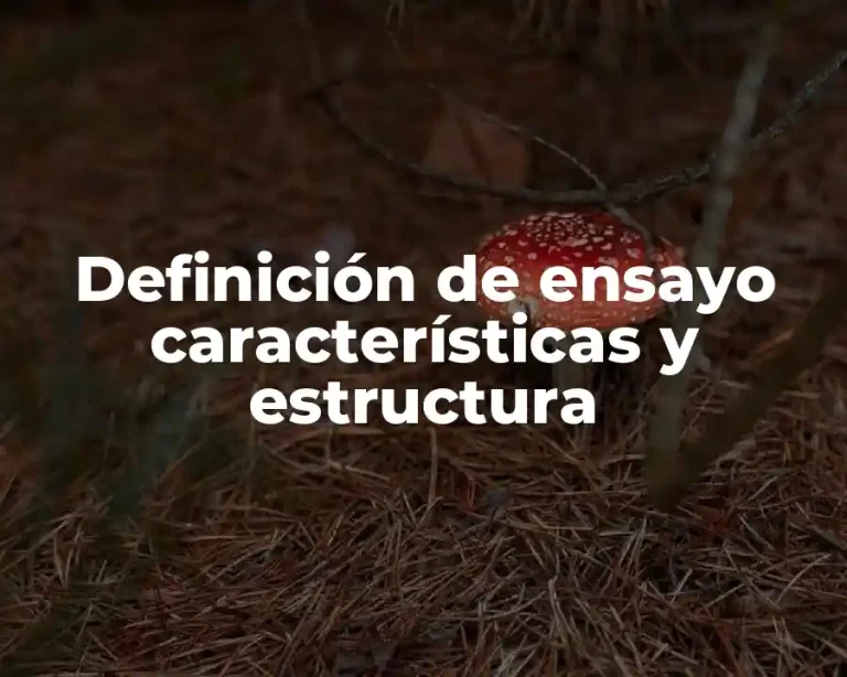 Definición de ensayo características y estructura