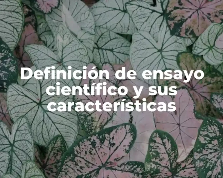 Definición de ensayo científico y sus características