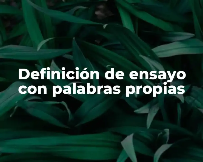 Definición de ensayo con palabras propias