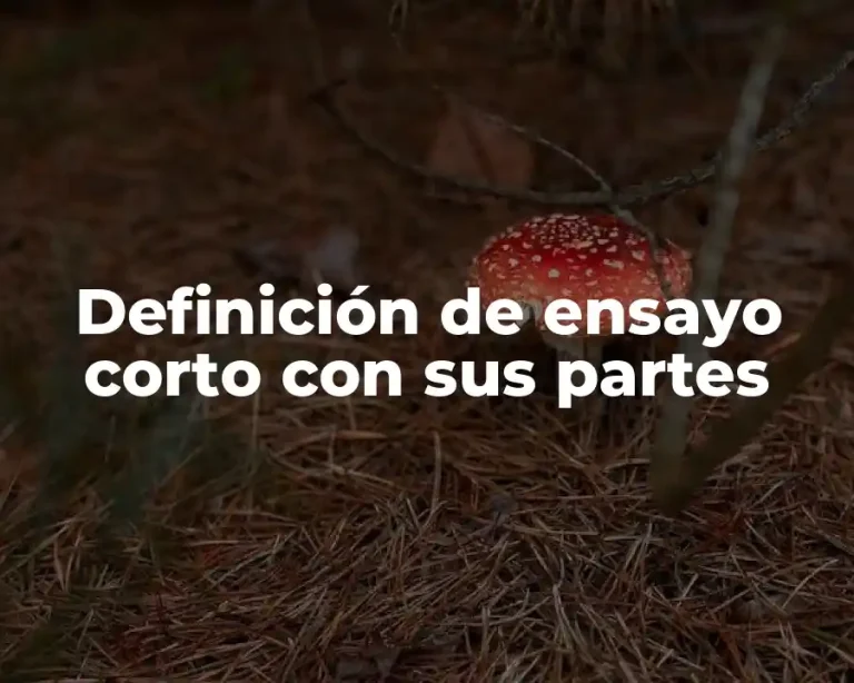 Definición de ensayo corto con sus partes