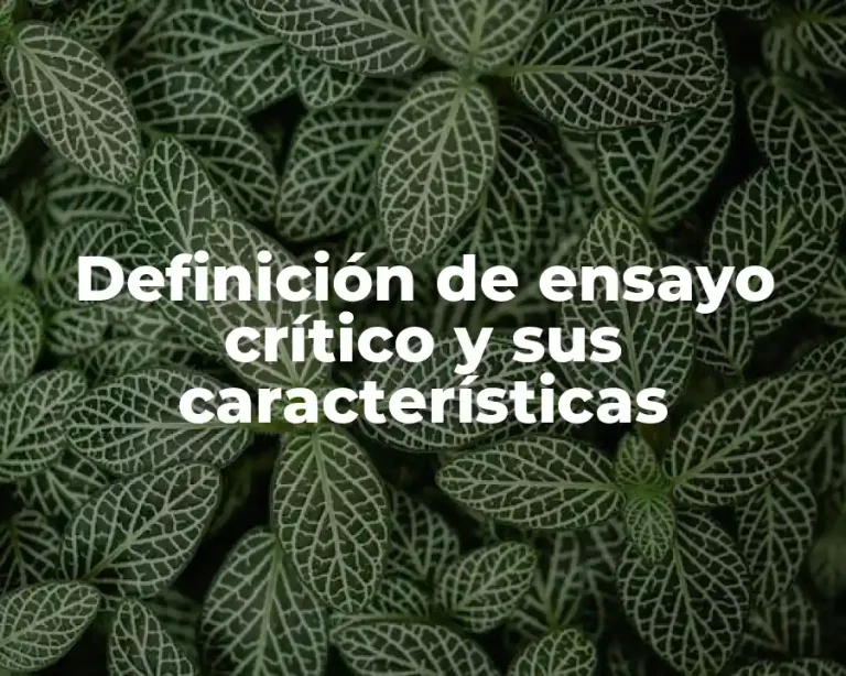 Definición de ensayo crítico y sus características