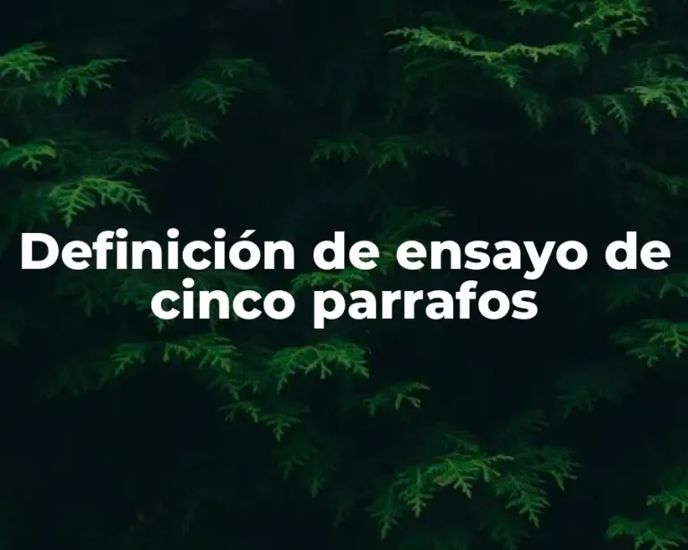 Definición de ensayo de cinco parrafos