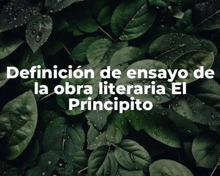 Definición de ensayo de la obra literaria El Principito