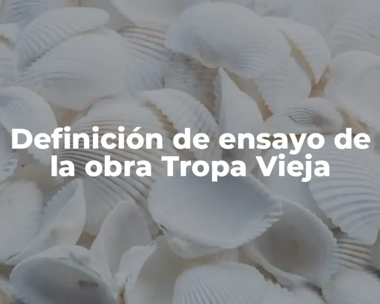 Definición de ensayo de la obra Tropa Vieja