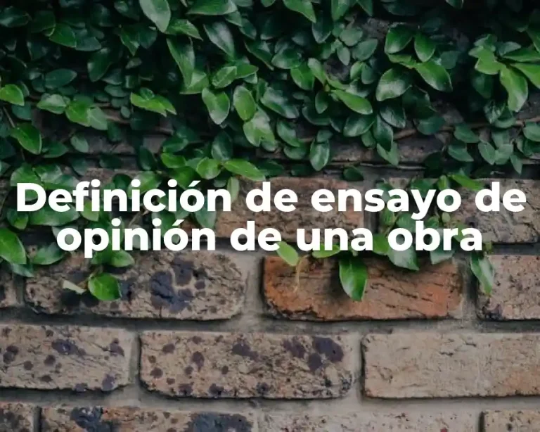 Definición de ensayo de opinión de una obra