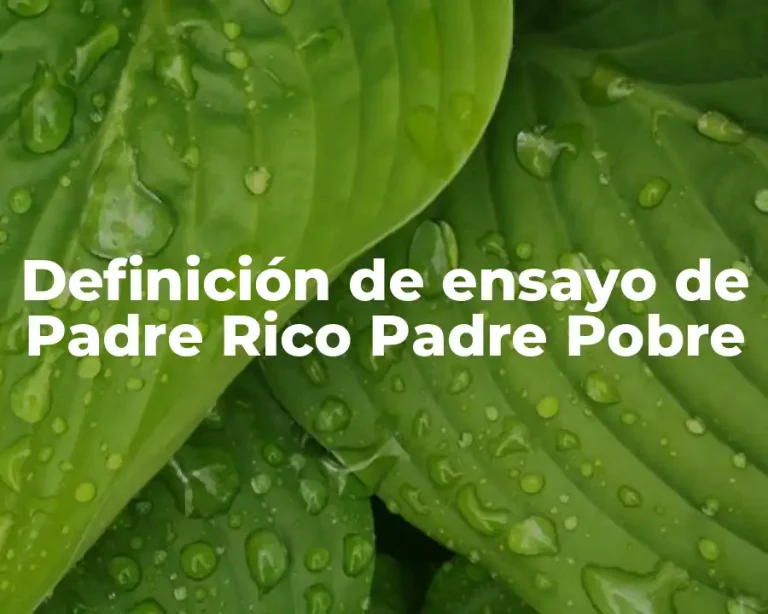 Definición de ensayo de Padre Rico Padre Pobre